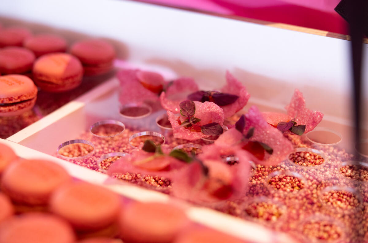 20241016 Vermaat Inspiratie event Circuit Zandvoort 027 013 A6399 HR NTW