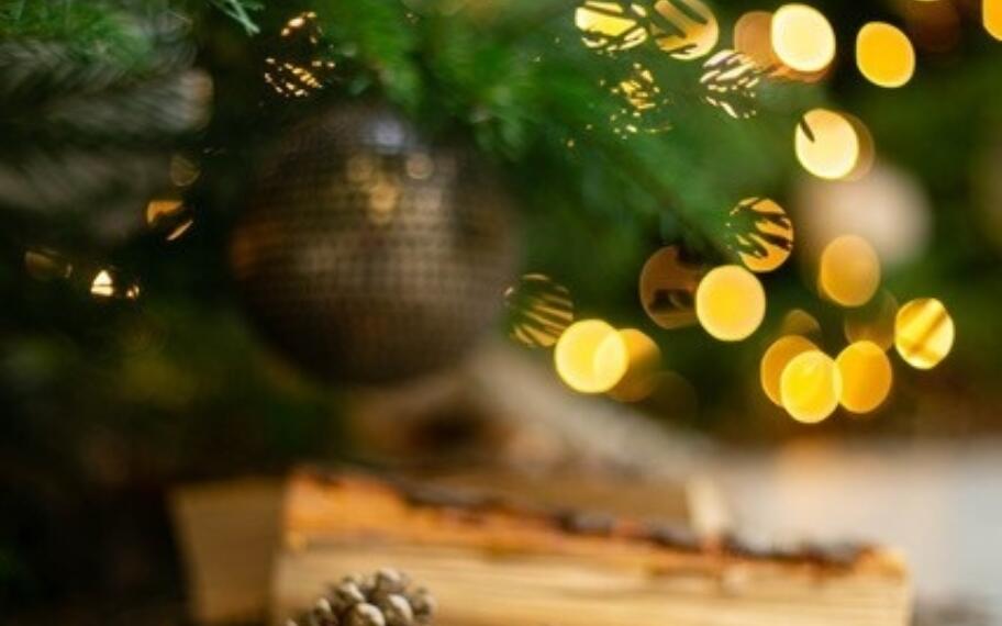 Kersttak van der maarel